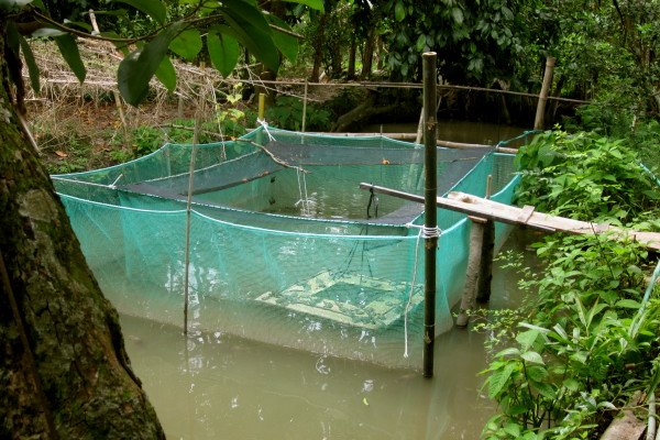 Nhà nông làm dịch vụ du lịch