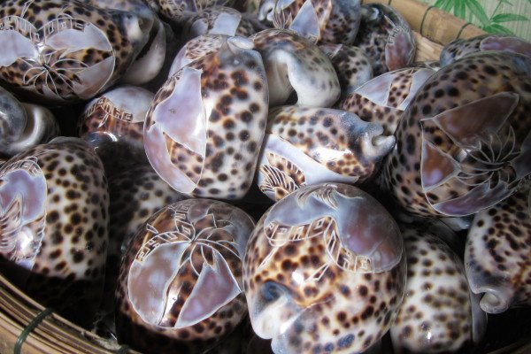 Hàng mỹ nghệ biển xuất xứ giữa dòng sông Hậu