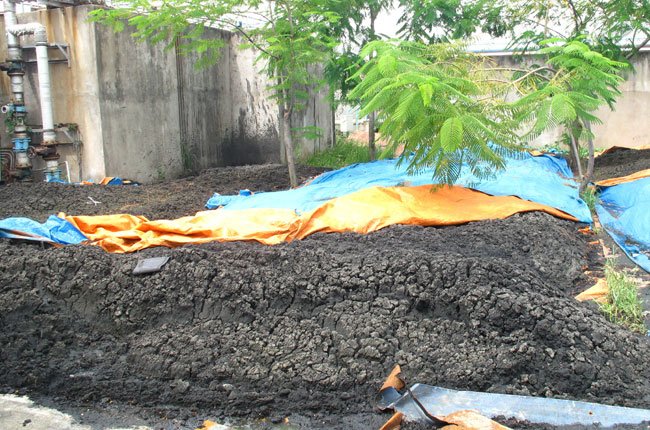 Sài Gòn Xanh sẽ xử lý bùn thải nhà máy Bình Hưng