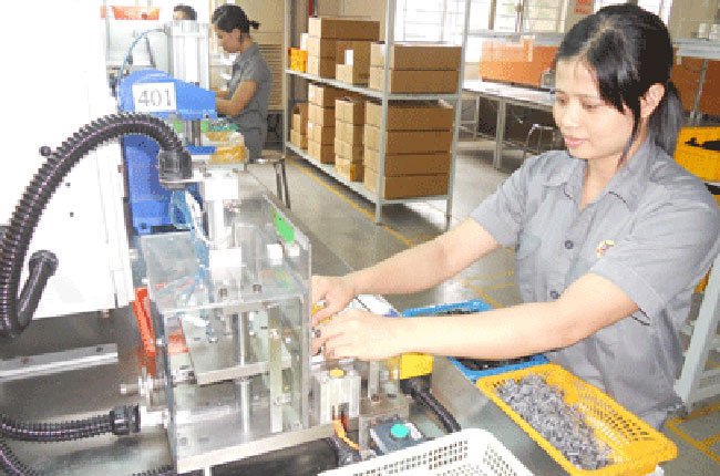 Đại biểu HĐND muốn rõ vì sao xuất khẩu giảm