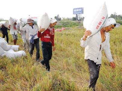 Kinh tế 2013: Những nghịch lý và cải cách bị bỏ lỡ