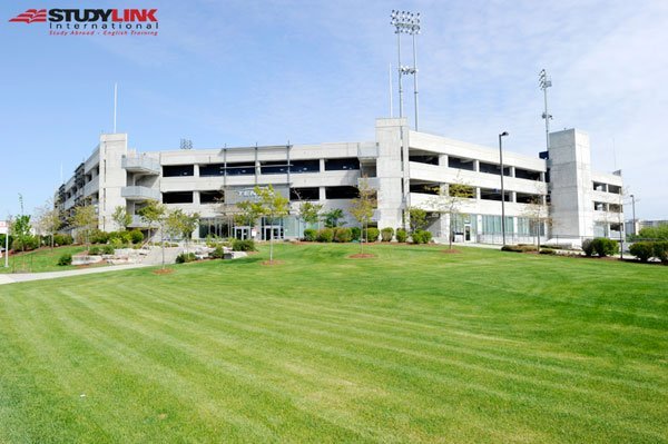 Đại học York - Đại học kỹ thuật hàng đầu tại Canada
