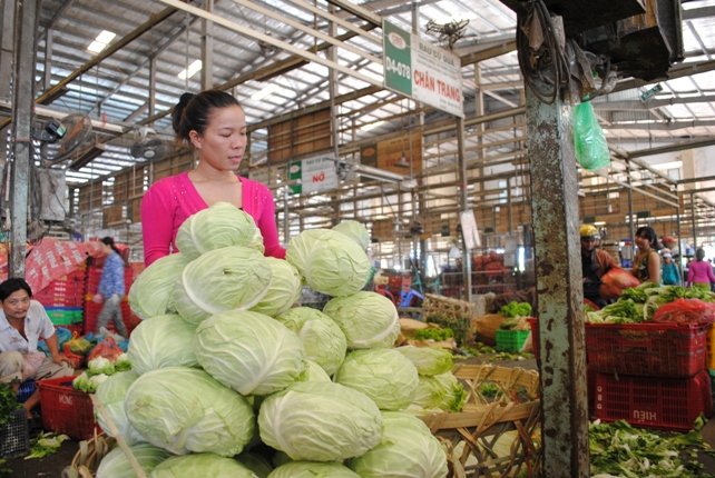 Tiểu thương không muốn nhập bắp cải, khoai tây Trung Quốc