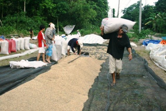 http://www.thesaigontimes.vn/Uploads/Articles/113438/00df5_3ae32_img_8986.jpg