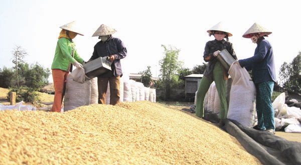 Thương mại Việt Nam - ASEAN chững lại, vì sao? Thương mại Việt Nam - ASEAN chững lại, vì sao?