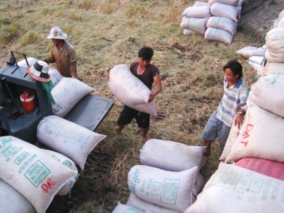 Trung Quốc cấm biên gạo Việt Nam?