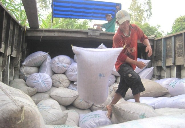 Vì sao doanh nghiệp chần chừ, chưa muốn mua gạo? Vì sao doanh nghiệp chần chừ, chưa muốn mua gạo?