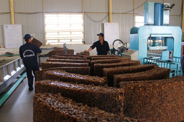 Description: http://www.thesaigontimes.vn/Uploads/Articles/121134/bd13c_img_1694.jpg