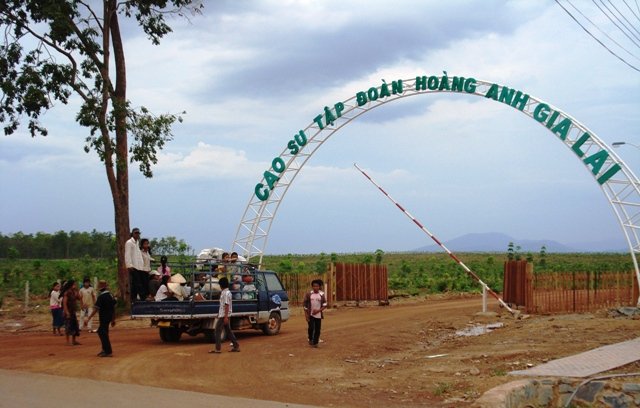 Đầu tư nông nghiệp trên quy mô lớn không hề đơn giản. Ảnh minh họa: Dự án trồng cao su của tập đoàn Hoàng Anh Gia Lai tại Lào (năm 2010). Ảnh TL