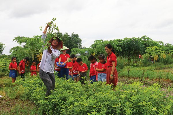 Tập làm “nông dân” ở Sài Gòn