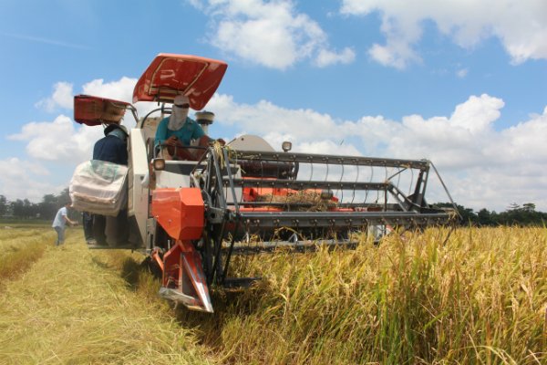 Tại sao phải chờ bảo hiểm nông nghiệp?