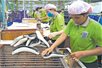 Bảo hiểm xã hội, chờ một sự thay đổi Bảo hiểm xã hội, chờ một sự thay đổi
