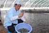 Mục tiêu 10 tỉ đô la Mỹ của ngành tôm liệu có khả thi? Mục tiêu 10 tỉ đô la Mỹ của ngành tôm liệu có khả thi?