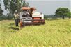 Con người là tài nguyên thúc đẩy ĐBSCL phát triển bền vững Con người là tài nguyên thúc đẩy ĐBSCL phát triển bền vững
