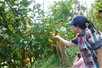 Famtrip Đồng Tháp: Đi để khởi nghiệp Famtrip Đồng Tháp: Đi để khởi nghiệp