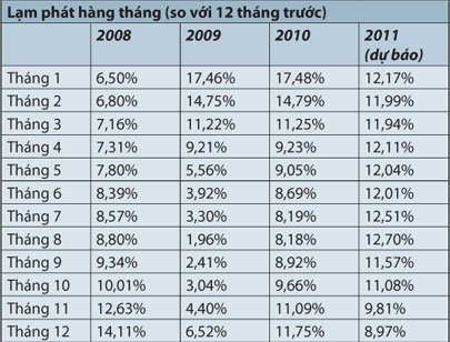 Bài toán 2011 cho lạm phát, lãi suất và tỷ giá - Ảnh 2