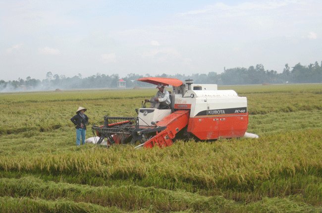 Thị trường nông sản kêu cứu