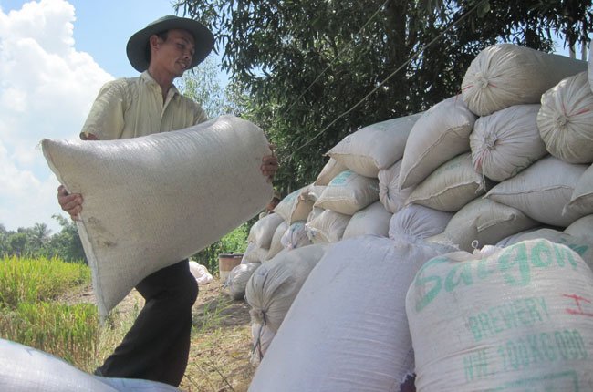 Doanh nghiệp xuất khẩu gạo “dính đòn” lỗ