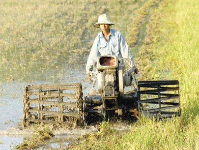 Mở ra cơ hội tích tụ ruộng đất