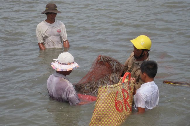 "Sóng gió" cho con tôm trong năm tới