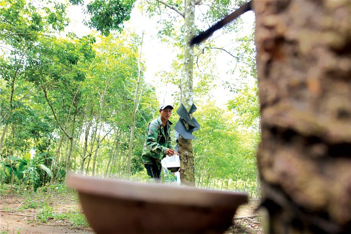 Gập ghềnh bảo hiểm nông nghiệp