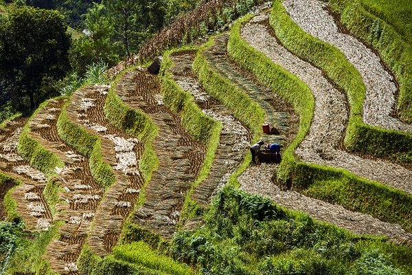 Bà con nông dân đang chuẩn bị vỡ đất cho mùa vụ mới.