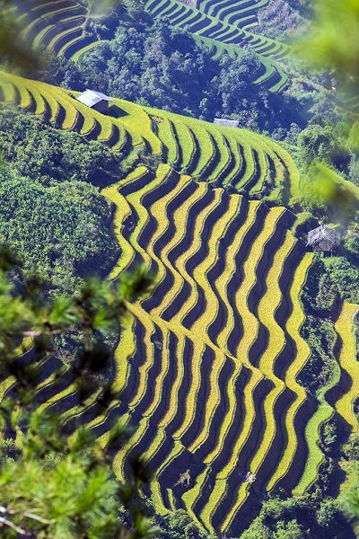 Ngắm ruộng bậc thang từ trên cao.