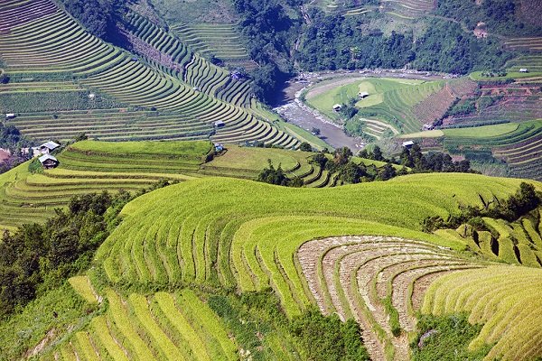 Những dải ruộng nối nhau như vươn tới trời xanh.